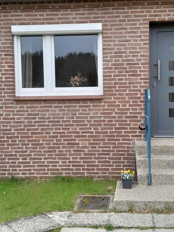 Tannenquartier - Ihr Ferienhaeuschen Apartment Gross Gronau Ngoại thất bức ảnh